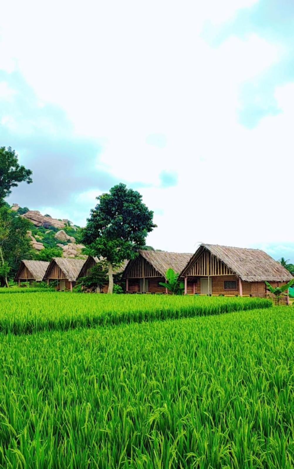 Om Shanti Om Home Stay & Cafe Hampi Luaran gambar