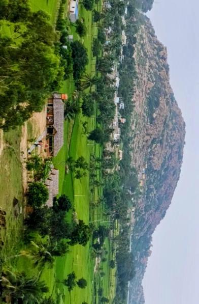 Om Shanti Om Home Stay & Cafe Hampi Luaran gambar