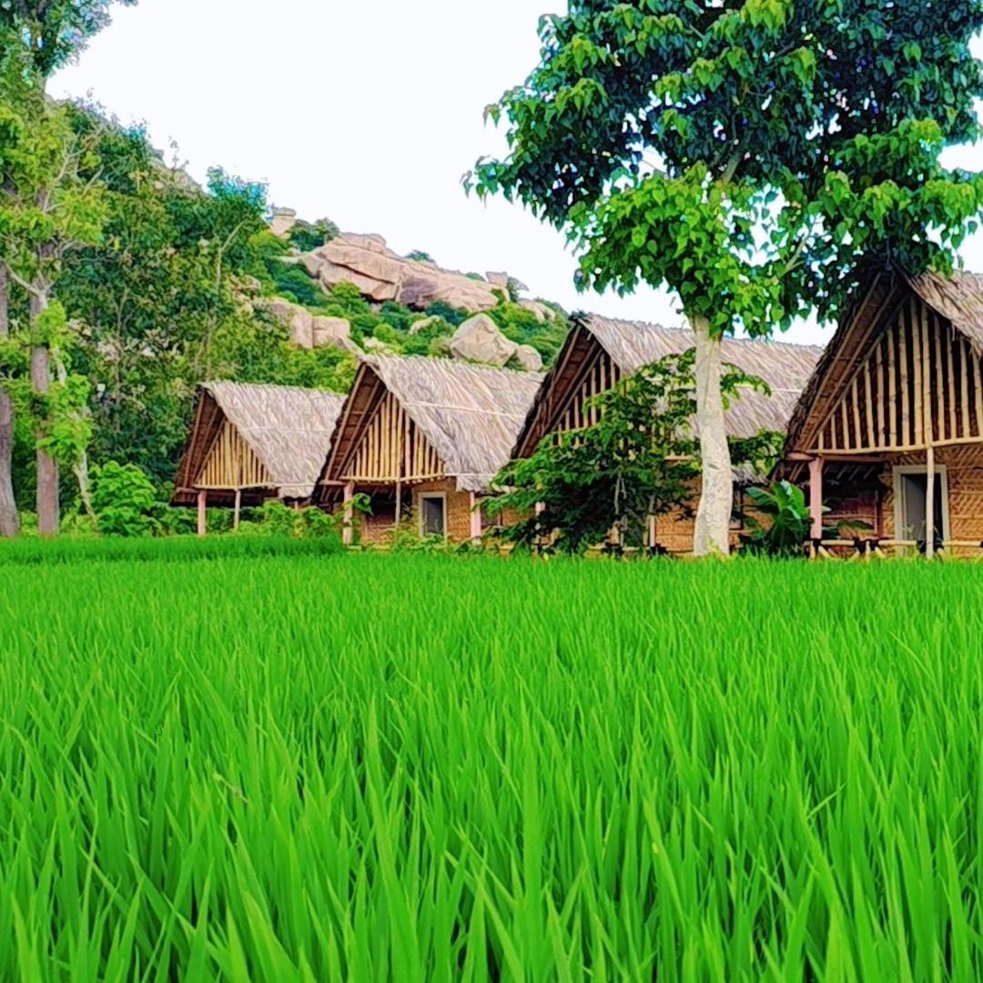 Om Shanti Om Home Stay & Cafe Hampi Luaran gambar